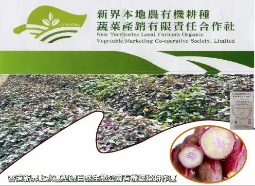 【每周優(yōu)品】香港本地紅薯——好吃不貴，營(yíng)養(yǎng)豐富！
